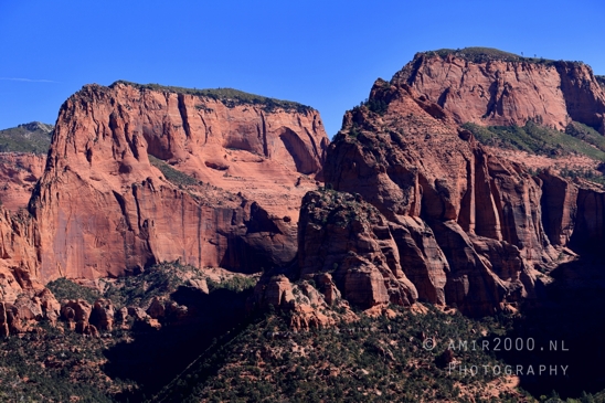 Zion_National_Park_Canyon_Utah_USA_landscape_nature_Photography_074_Canon_EOS_R5_Mark_II.JPG
