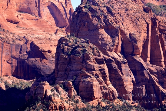 Zion_National_Park_Canyon_Utah_USA_landscape_nature_Photography_075_Canon_EOS_R5_Mark_II.JPG