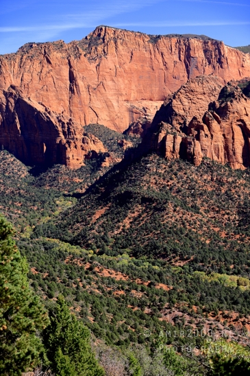 Zion_National_Park_Canyon_Utah_USA_landscape_nature_Photography_078_Canon_EOS_R5_Mark_II.JPG