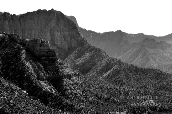 Zion_National_Park_Canyon_Utah_USA_landscape_nature_Photography_087_Canon_EOS_R5_Mark_II.JPG
