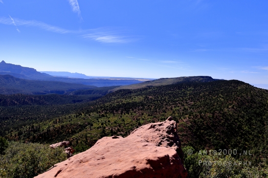 Zion_National_Park_Canyon_Utah_USA_landscape_nature_Photography_090_Canon_EOS_R5_Mark_II.JPG