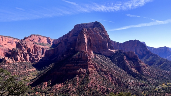 Zion_National_Park_Canyon_Utah_USA_landscape_nature_Photography_091_Canon_EOS_R5_Mark_II.JPG