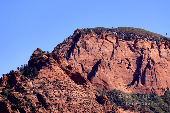 Zion_National_Park_Canyon_Utah_USA_landscape_nature_Photography_093_Canon_EOS_R5_Mark_II.JPG
