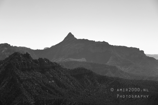 Zion_National_Park_Canyon_Utah_USA_landscape_nature_Photography_095_Canon_EOS_R5_Mark_II.JPG