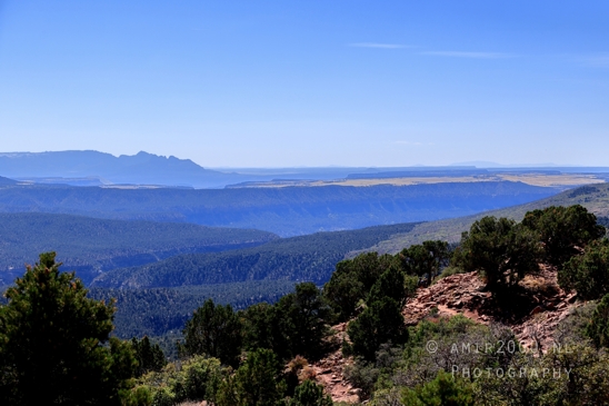 Zion_National_Park_Canyon_Utah_USA_landscape_nature_Photography_096_Canon_EOS_R5_Mark_II.JPG