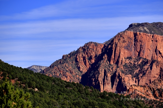 Zion_National_Park_Canyon_Utah_USA_landscape_nature_Photography_101_Canon_EOS_R5_Mark_II.JPG
