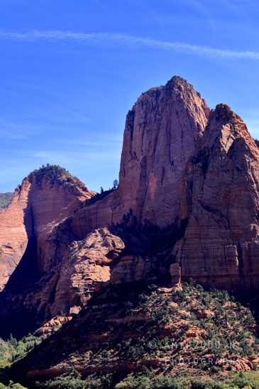 Zion_National_Park_Canyon_Utah_USA_landscape_nature_Photography_104_Canon_EOS_R5_Mark_II.JPG