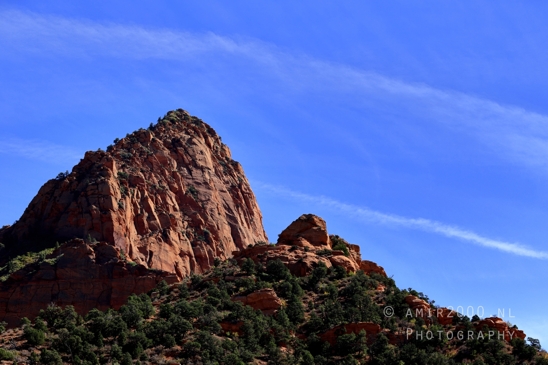 Zion_National_Park_Canyon_Utah_USA_landscape_nature_Photography_106_Canon_EOS_R5_Mark_II.JPG