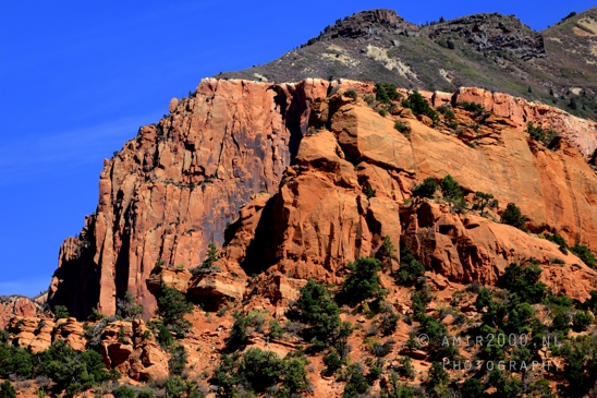 Zion_National_Park_Canyon_Utah_USA_landscape_nature_Photography_107_Canon_EOS_R5_Mark_II.JPG
