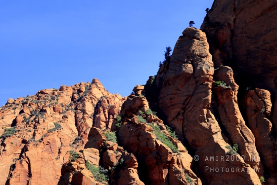Zion_National_Park_Canyon_Utah_USA_landscape_nature_Photography_108_Canon_EOS_R5_Mark_II.JPG