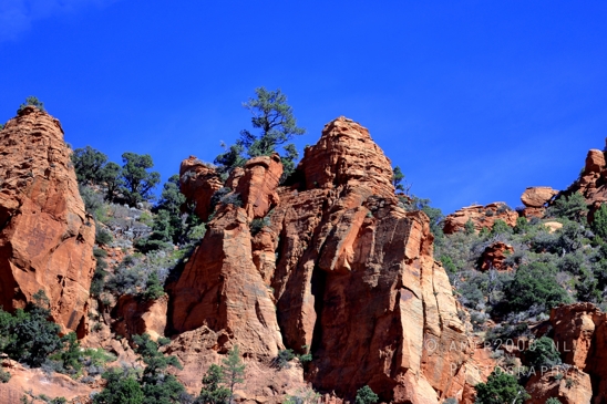 Zion_National_Park_Canyon_Utah_USA_landscape_nature_Photography_109_Canon_EOS_R5_Mark_II.JPG