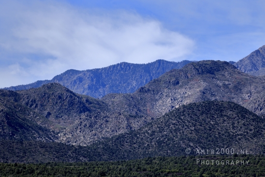 Zion_National_Park_Canyon_Utah_USA_landscape_nature_Photography_116_Canon_EOS_R5_Mark_II.JPG