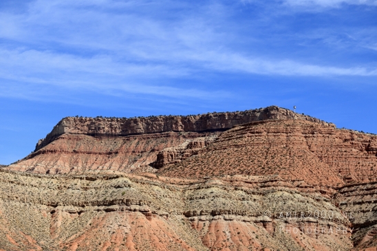 Zion_National_Park_Canyon_Utah_USA_landscape_nature_Photography_126_Canon_EOS_R5_Mark_II.JPG