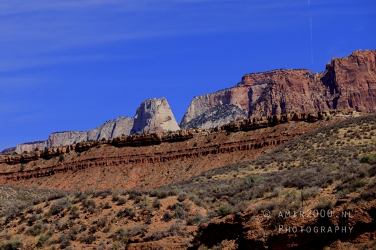 Zion_National_Park_Canyon_Utah_USA_landscape_nature_Photography_139_Canon_EOS_R5_Mark_II.JPG
