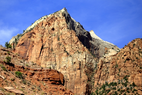 Zion_National_Park_Canyon_Utah_USA_landscape_nature_Photography_149_Canon_EOS_R5_Mark_II.JPG