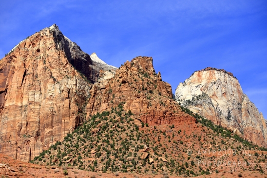 Zion_National_Park_Canyon_Utah_USA_landscape_nature_Photography_150_Canon_EOS_R5_Mark_II.JPG