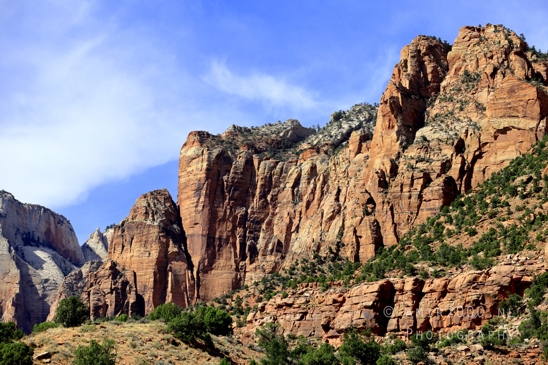 Zion_National_Park_Canyon_Utah_USA_landscape_nature_Photography_151_Canon_EOS_R5_Mark_II.JPG