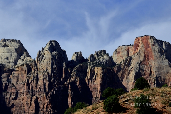 Zion_National_Park_Canyon_Utah_USA_landscape_nature_Photography_152_Canon_EOS_R5_Mark_II.JPG