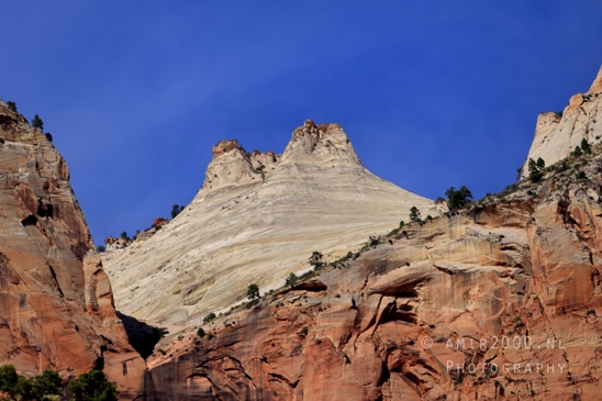Zion_National_Park_Canyon_Utah_USA_landscape_nature_Photography_155_Canon_EOS_R5_Mark_II.JPG