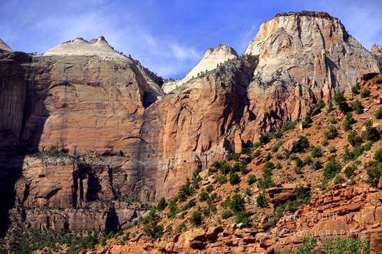 Zion_National_Park_Canyon_Utah_USA_landscape_nature_Photography_157_Canon_EOS_R5_Mark_II.JPG