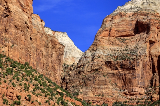 Zion_National_Park_Canyon_Utah_USA_landscape_nature_Photography_161_Canon_EOS_R5_Mark_II.JPG