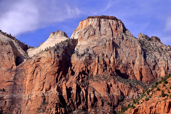 Zion_National_Park_Canyon_Utah_USA_landscape_nature_Photography_162_Canon_EOS_R5_Mark_II.JPG