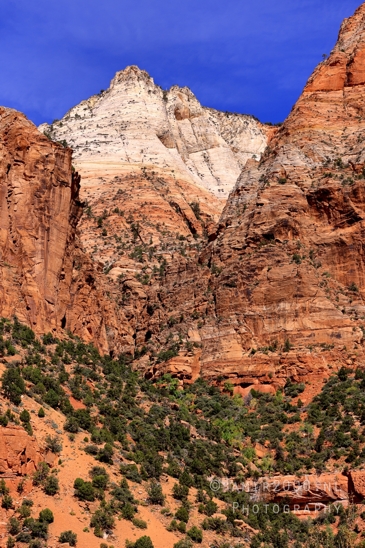 Zion_National_Park_Canyon_Utah_USA_landscape_nature_Photography_163_Canon_EOS_R5_Mark_II.JPG