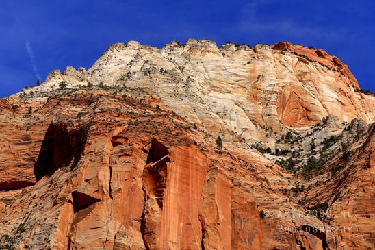 Zion_National_Park_Canyon_Utah_USA_landscape_nature_Photography_164_Canon_EOS_R5_Mark_II.JPG
