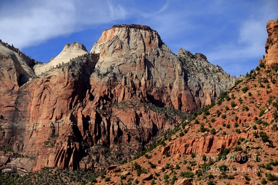 Zion_National_Park_Canyon_Utah_USA_landscape_nature_Photography_167_Canon_EOS_R5_Mark_II.JPG
