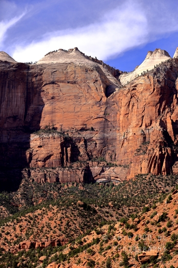 Zion_National_Park_Canyon_Utah_USA_landscape_nature_Photography_168_Canon_EOS_R5_Mark_II.JPG