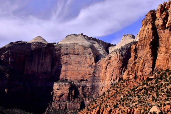 Zion_National_Park_Canyon_Utah_USA_landscape_nature_Photography_170_Canon_EOS_R5_Mark_II.JPG