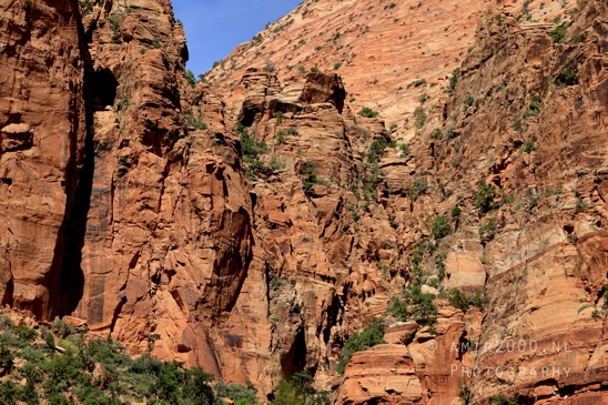 Zion_National_Park_Canyon_Utah_USA_landscape_nature_Photography_171_Canon_EOS_R5_Mark_II.JPG