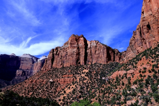 Zion_National_Park_Canyon_Utah_USA_landscape_nature_Photography_173_Canon_EOS_R5_Mark_II.JPG