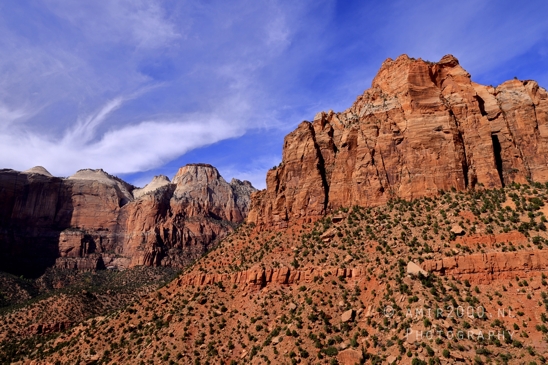 Zion_National_Park_Canyon_Utah_USA_landscape_nature_Photography_178_Canon_EOS_R5_Mark_II.JPG