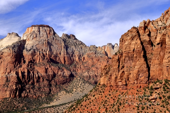 Zion_National_Park_Canyon_Utah_USA_landscape_nature_Photography_182_Canon_EOS_R5_Mark_II.JPG