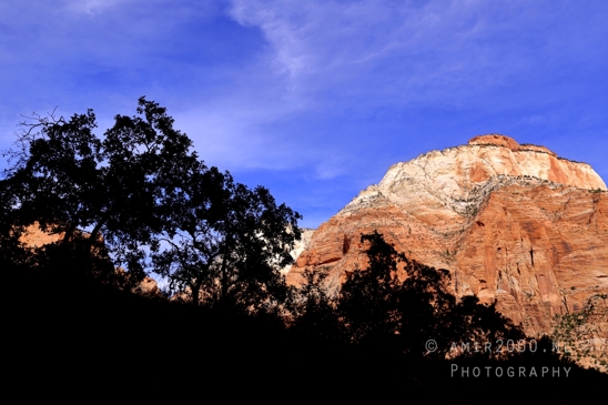 Zion_National_Park_Canyon_Utah_USA_landscape_nature_Photography_185_Canon_EOS_R5_Mark_II.JPG
