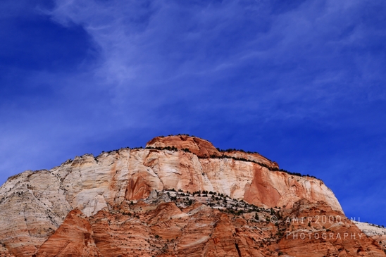 Zion_National_Park_Canyon_Utah_USA_landscape_nature_Photography_188_Canon_EOS_R5_Mark_II.JPG