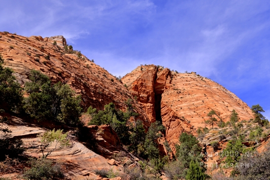 Zion_National_Park_Canyon_Utah_USA_landscape_nature_Photography_191_Canon_EOS_R5_Mark_II.JPG