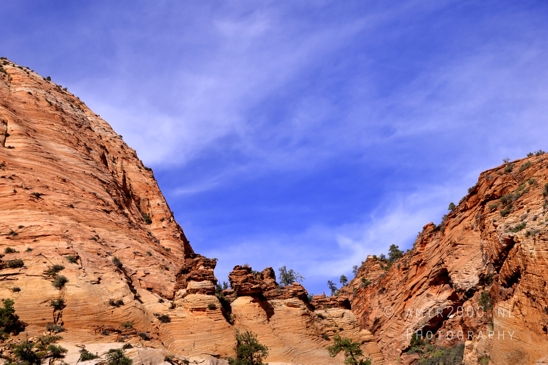 Zion_National_Park_Canyon_Utah_USA_landscape_nature_Photography_192_Canon_EOS_R5_Mark_II.JPG