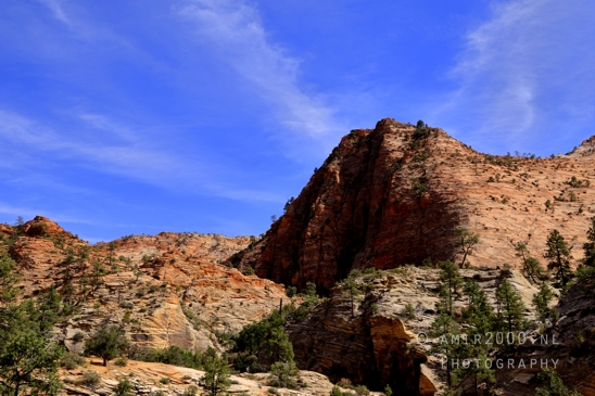 Zion_National_Park_Canyon_Utah_USA_landscape_nature_Photography_194_Canon_EOS_R5_Mark_II.JPG