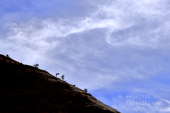 Zion_National_Park_Canyon_Utah_USA_landscape_nature_Photography_195_Canon_EOS_R5_Mark_II.JPG