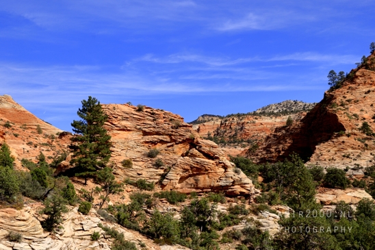 Zion_National_Park_Canyon_Utah_USA_landscape_nature_Photography_197_Canon_EOS_R5_Mark_II.JPG