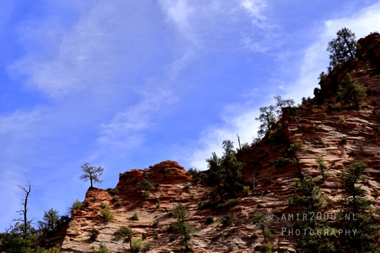 Zion_National_Park_Canyon_Utah_USA_landscape_nature_Photography_198_Canon_EOS_R5_Mark_II.JPG