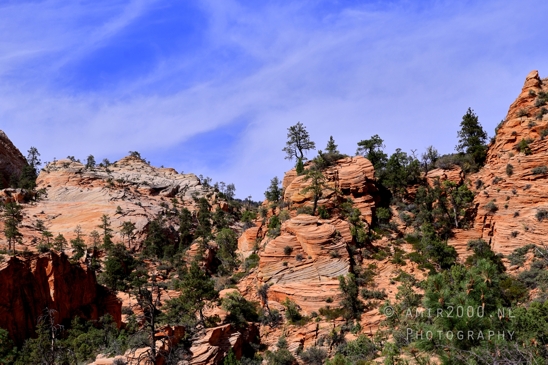 Zion_National_Park_Canyon_Utah_USA_landscape_nature_Photography_200_Canon_EOS_R5_Mark_II.JPG