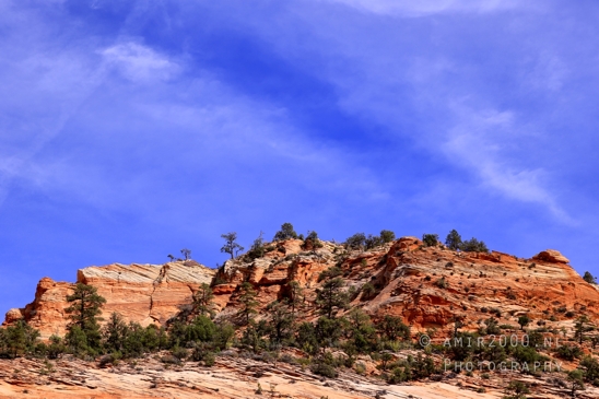 Zion_National_Park_Canyon_Utah_USA_landscape_nature_Photography_201_Canon_EOS_R5_Mark_II.JPG