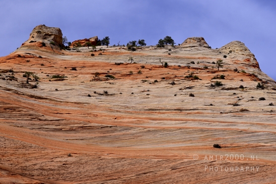 Zion_National_Park_Canyon_Utah_USA_landscape_nature_Photography_203_Canon_EOS_R5_Mark_II.JPG