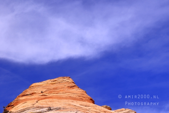 Zion_National_Park_Canyon_Utah_USA_landscape_nature_Photography_206_Canon_EOS_R5_Mark_II.JPG