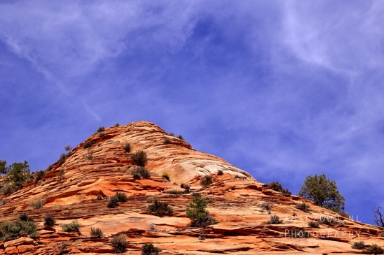 Zion_National_Park_Canyon_Utah_USA_landscape_nature_Photography_207_Canon_EOS_R5_Mark_II.JPG