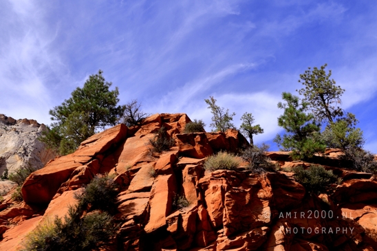 Zion_National_Park_Canyon_Utah_USA_landscape_nature_Photography_208_Canon_EOS_R5_Mark_II.JPG