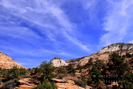 Zion_National_Park_Canyon_Utah_USA_landscape_nature_Photography_211_Canon_EOS_R5_Mark_II.JPG